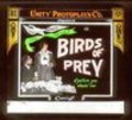 Birds of Prey pictures.