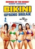Bikini Spring Break - wallpapers.