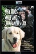 Why Dogs Smile & Chimpanzees Cry - wallpapers.