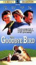 The Goodbye Bird pictures.