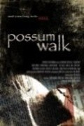 Possum Walk - wallpapers.