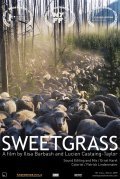 Sweetgrass - wallpapers.