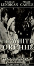 The White Orchid pictures.