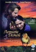 Fly Away Home - wallpapers.