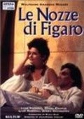 Le nozze di Figaro - wallpapers.
