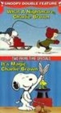 What a Nightmare, Charlie Brown! pictures.
