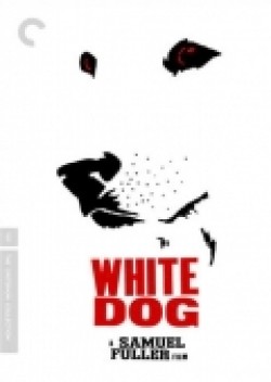 White Dog - wallpapers.