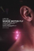 Where Moths Fly - wallpapers.