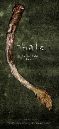 Thale - wallpapers.