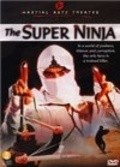 The Super Ninja pictures.
