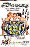 Love in a Goldfish Bowl - wallpapers.