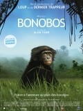 Bonobos - wallpapers.