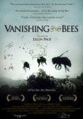 Vanishing of the Bees - wallpapers.