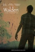 Walden - wallpapers.
