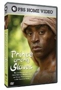 Prince Among Slaves pictures.