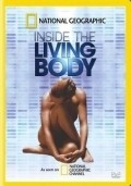 Inside the Living Body - wallpapers.