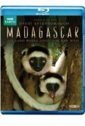 Madagascar - wallpapers.