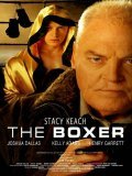 The Boxer - wallpapers.