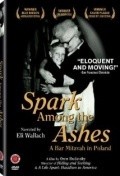 Spark Among the Ashes: A Bar Mitzvah in Poland - wallpapers.
