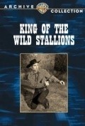 King of the Wild Stallions pictures.
