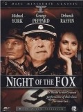 Night of the Fox - wallpapers.
