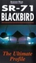 SR-71 Blackbird: The Secret Vigil pictures.