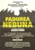 Padurea nebuna - wallpapers.