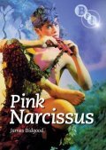 Pink Narcissus - wallpapers.