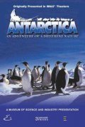Antarctica pictures.