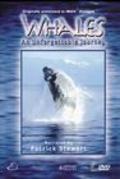 Whales: An Unforgettable Journey pictures.
