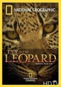 Eye of the Leopard - wallpapers.