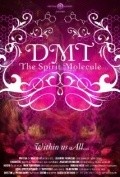DMT: The Spirit Molecule pictures.