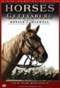 Horses of Gettysburg pictures.