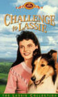 Challenge to Lassie pictures.