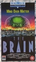The Brain - wallpapers.