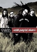 P.O.D.: Still Payin' Dues - wallpapers.