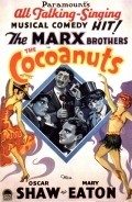 The Cocoanuts - wallpapers.