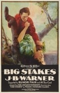 Big Stakes - wallpapers.