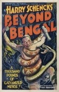 Beyond Bengal - wallpapers.