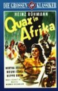 Quax in Afrika pictures.