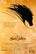 The Black Stallion - wallpapers.