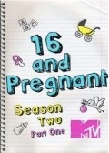 16 and Pregnant - wallpapers.