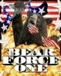 Bear Force One pictures.