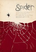 Spider - wallpapers.