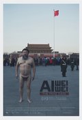 Ai Weiwei the Fake Case pictures.