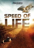 Speed of Life pictures.