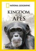 Wild Kingdom Of The Apes - wallpapers.