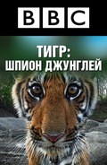 Tiger: Spy in the Jungle pictures.