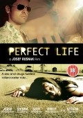 Perfect Life - wallpapers.