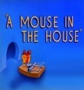 A Mouse in the House - wallpapers.